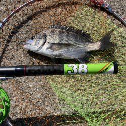 2枚のみだったが楽しめた