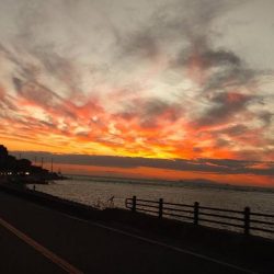 タチウオ求めて