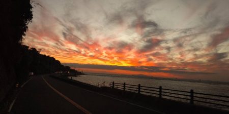 タチウオ求めて