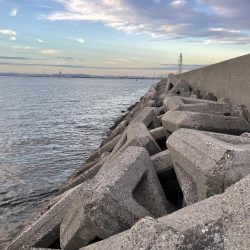 勤務帰りのショアジギング