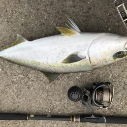 ベストタイミング