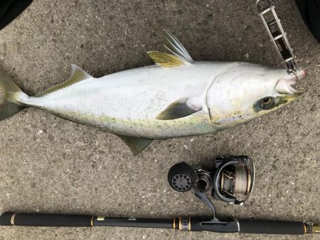 ベストタイミング