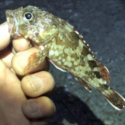 久しぶりの釣行