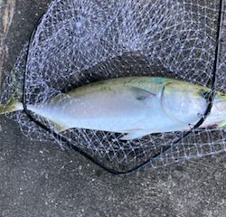 人生初の80オーバー