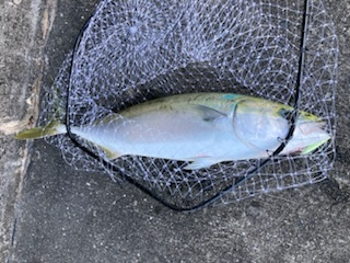 人生初の80オーバー