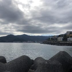 先週に引き続き釣行