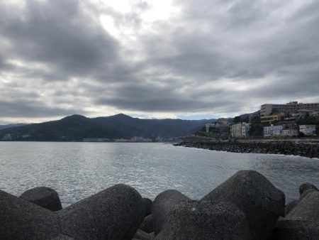 先週に引き続き釣行