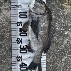 イチノ兄弟、釣果!