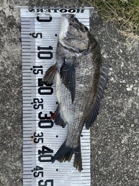 イチノ兄弟、釣果!