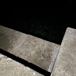 久しぶりのアジング