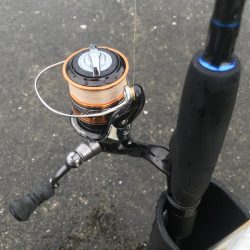 ライトワインドでガシラGET