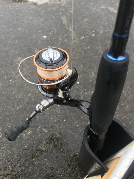 ライトワインドでガシラGET