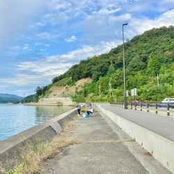 サヨリとアジ釣り