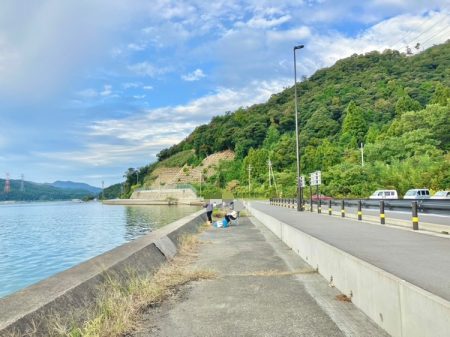 サヨリとアジ釣り
