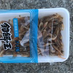 カワハギ釣りにチャレンジ