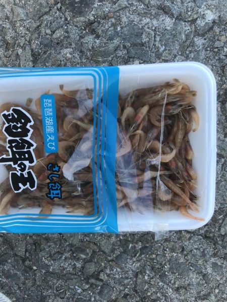 カワハギ釣りにチャレンジ