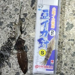 地元では二連続坊主だったので