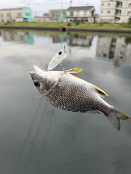 メッキトップゲーム