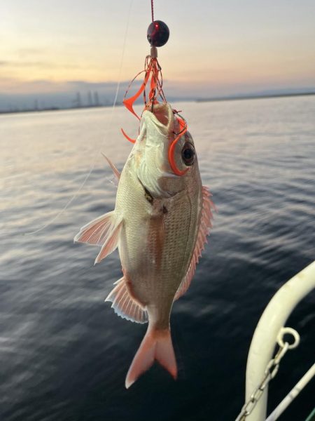 タイラバにタイ