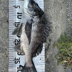 イチノ今日(兄)釣果!