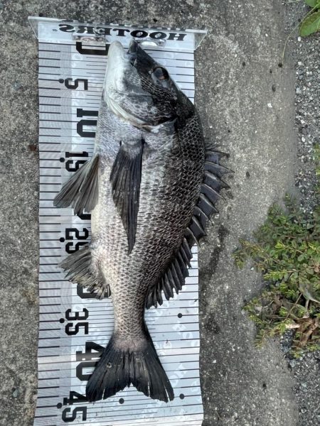 イチノ今日(兄)釣果!