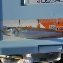 キス狙いで外道が