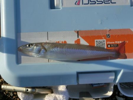 キス狙いで外道が