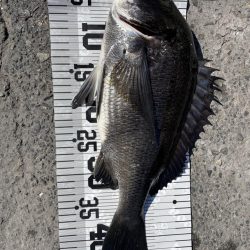 イチノ兄弟、釣果！