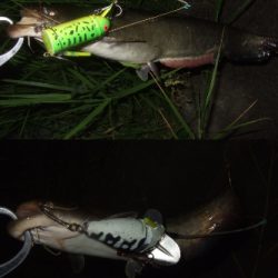 今回が今シーズンラスト釣行かも!?