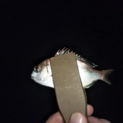 ちょい投げキス