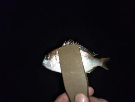 ちょい投げキス