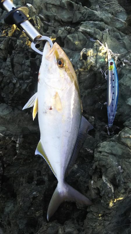 秋の青物狙いpart 2