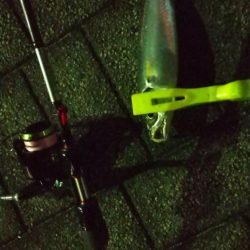 太刀魚とアジの様子を見に近場調査