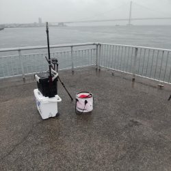 ショアジギング