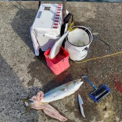 友人と武庫川一文字へ