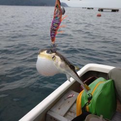 手漕ぎボートエギング、急に激シブ