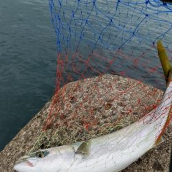 必死のランディング