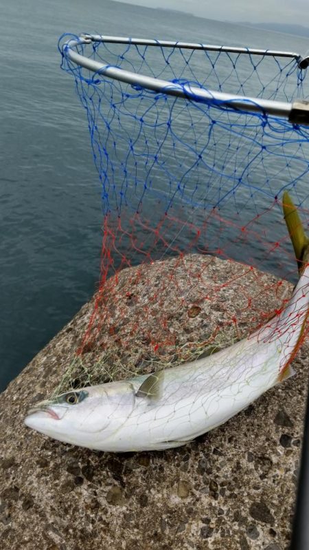 必死のランディング