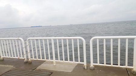 ボウズ逃れのカワハギ