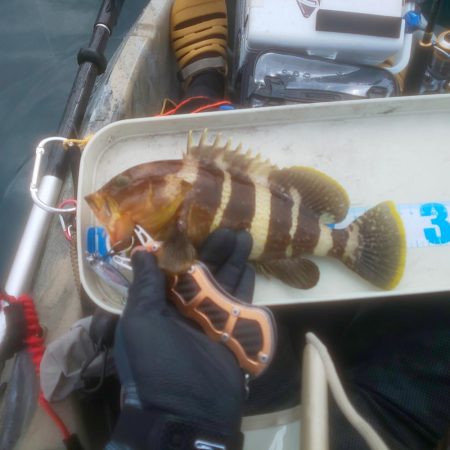 イカ渋すぎやで!