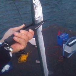 エギングとヤエン