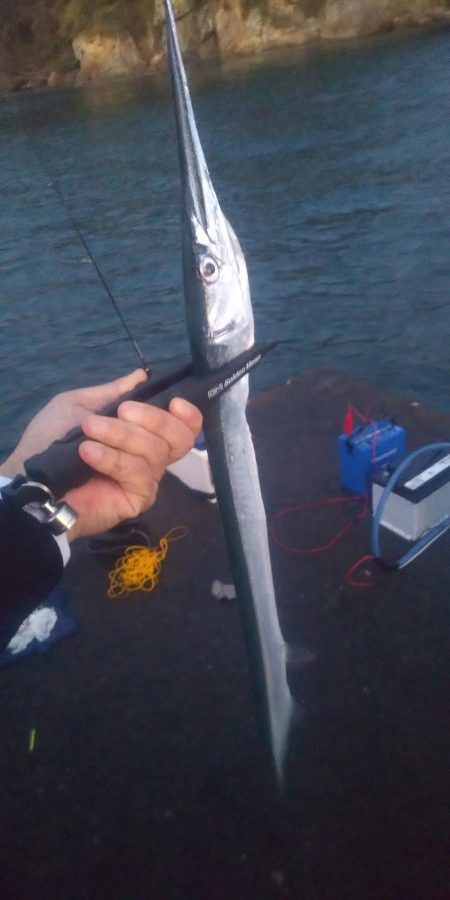 エギングとヤエン