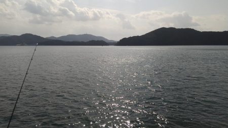 ヤエンでデカアオリイカ