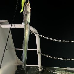 何も釣れない中、太刀魚釣れました。