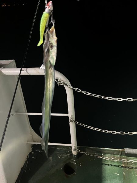 何も釣れない中、太刀魚釣れました。