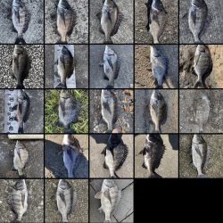 イチノ兄弟、釣果!