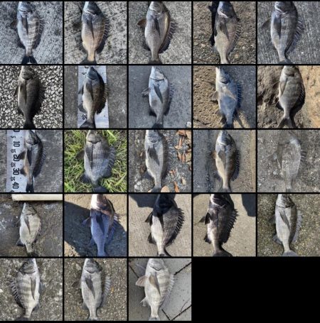 イチノ兄弟、釣果!