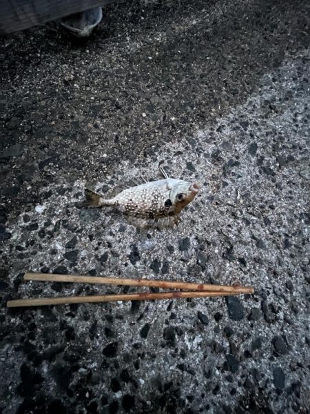 渋い季節の入り口