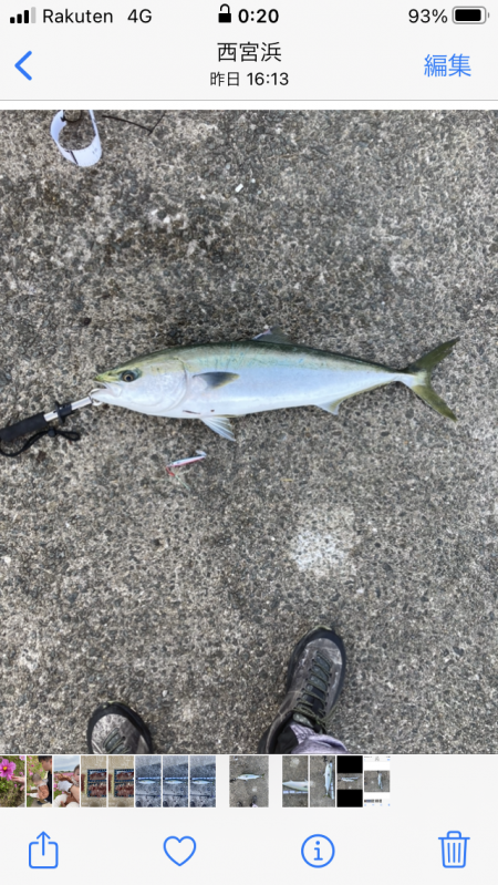 もう少しでブリ