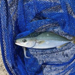 3バイト1キャッチ